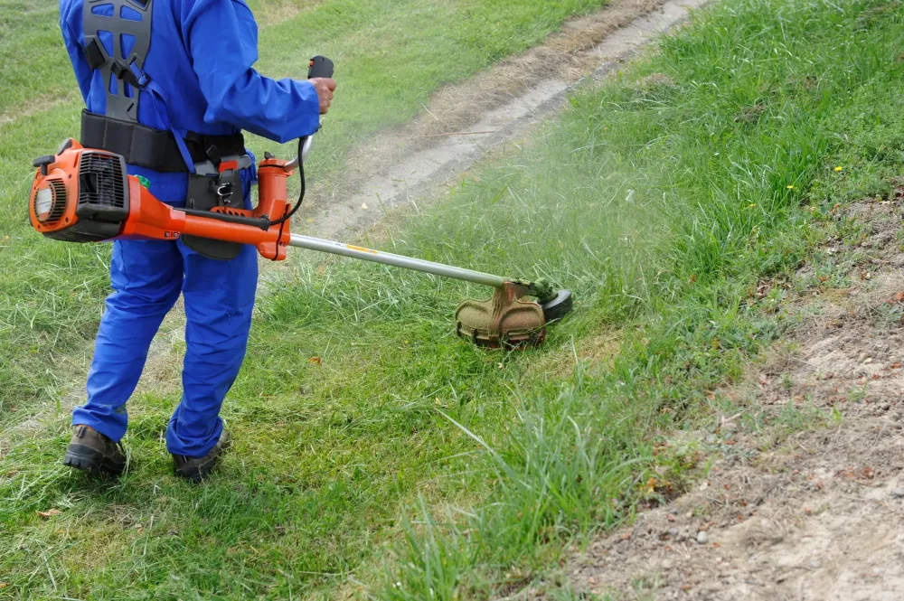 Débroussaillage près de Cestas